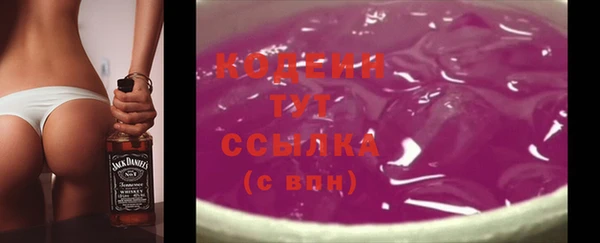 первитин Богданович